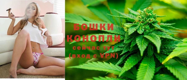 трава Алзамай