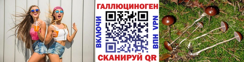 Галлюциногенные грибы Psilocybe  продажа наркотиков  Покров 